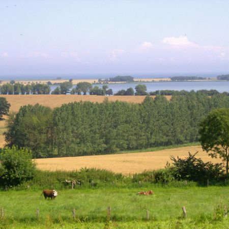 Ferienwohnungen Und Ferienhaus Im Nixenweg Hohwacht Exterior foto