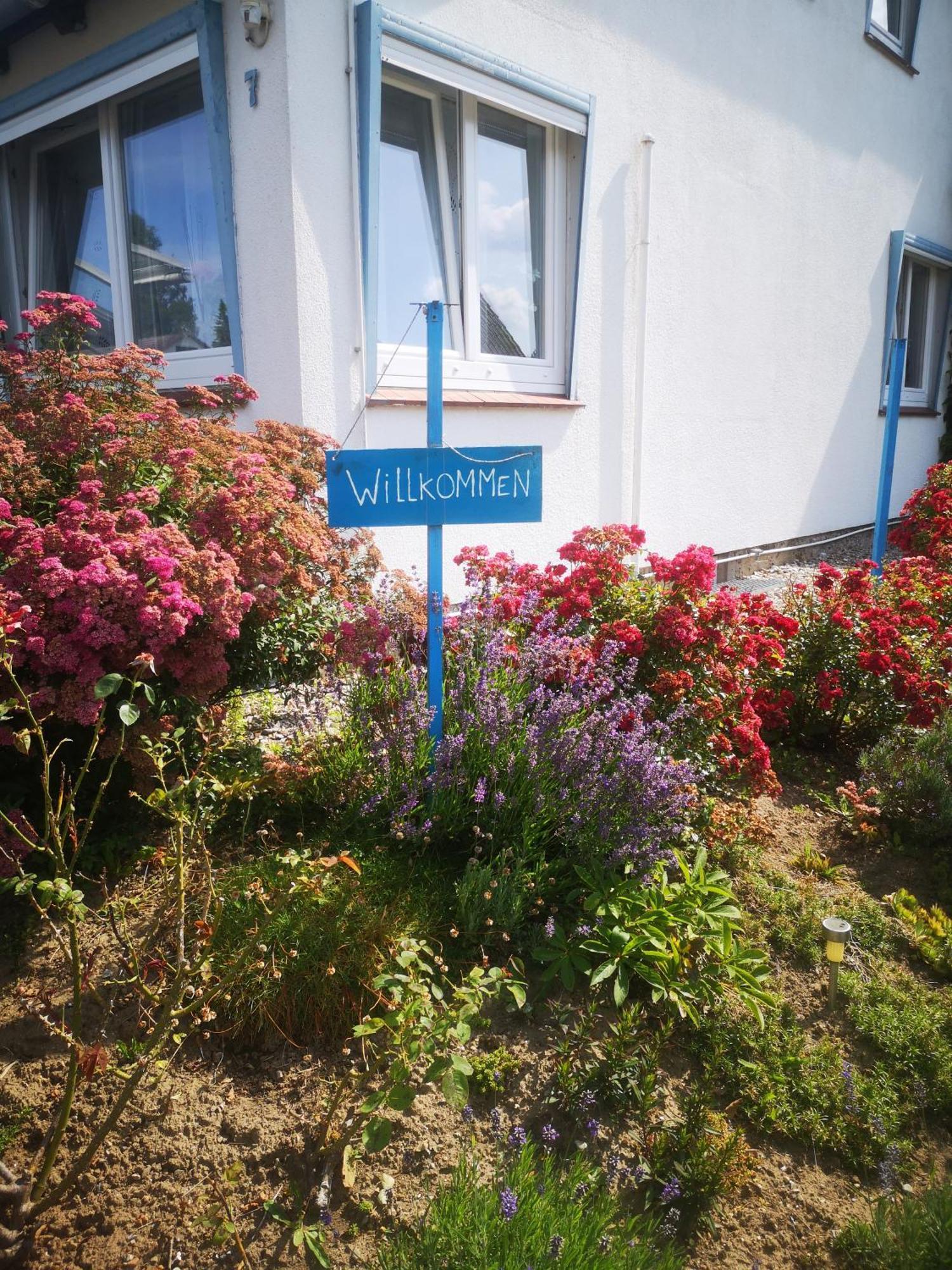 Ferienwohnungen Und Ferienhaus Im Nixenweg Hohwacht Exterior foto