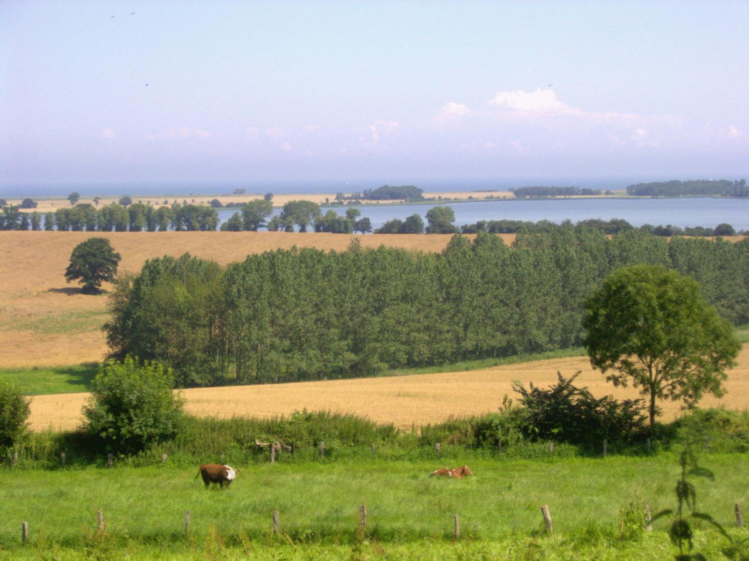 Ferienwohnungen Und Ferienhaus Im Nixenweg Hohwacht Exterior foto