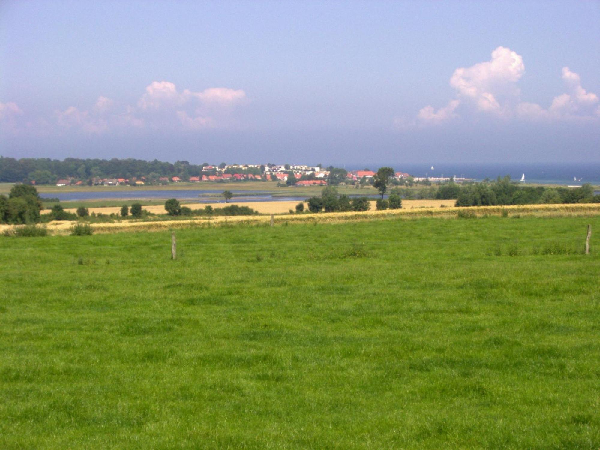 Ferienwohnungen Und Ferienhaus Im Nixenweg Hohwacht Exterior foto